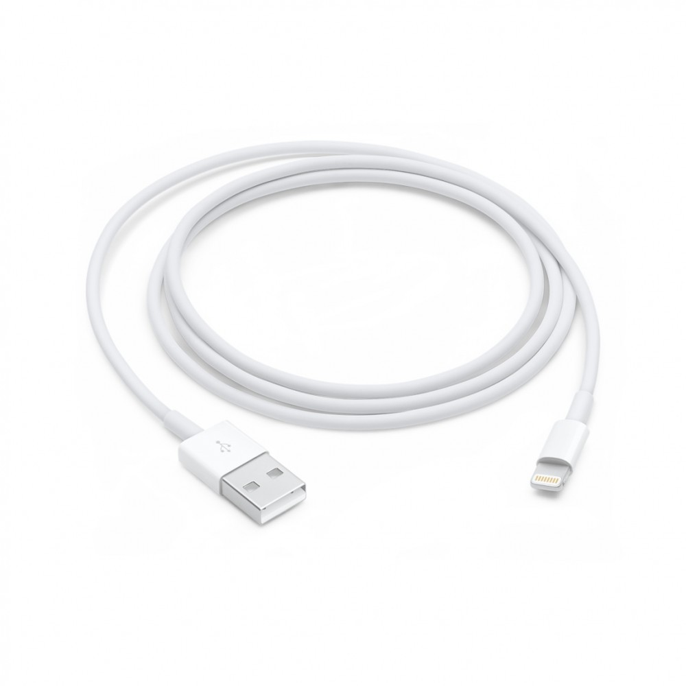 Кабель Apple Lightning to USB Cable 0.5 m (ME291) белого цвета