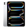 iPad Pro 11 (2024)