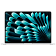 MacBook Air 15 (2026 M5)